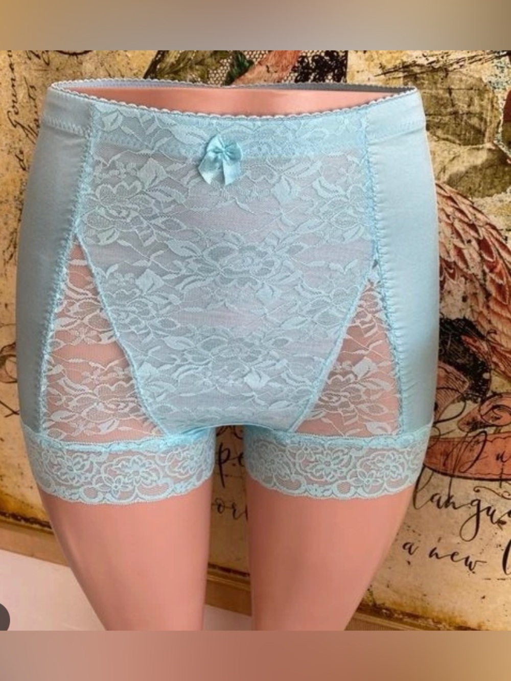 Rhonda Shear Pin-Up Girl Lace Control Panty - Turquoise (Size 1X)